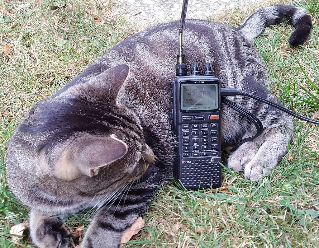 Récepteur Icom IC-R20